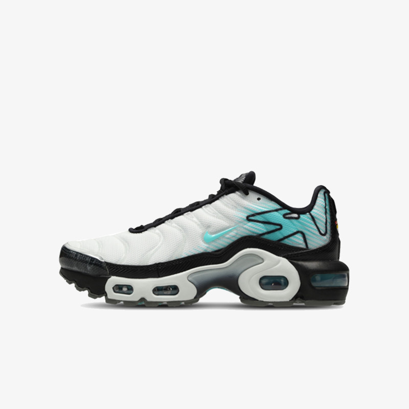 Nike Patike NIKE AIR MAX PLUS GS MTD 